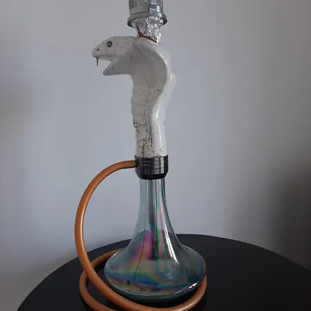 Vip Next Time Casa Vacanta *