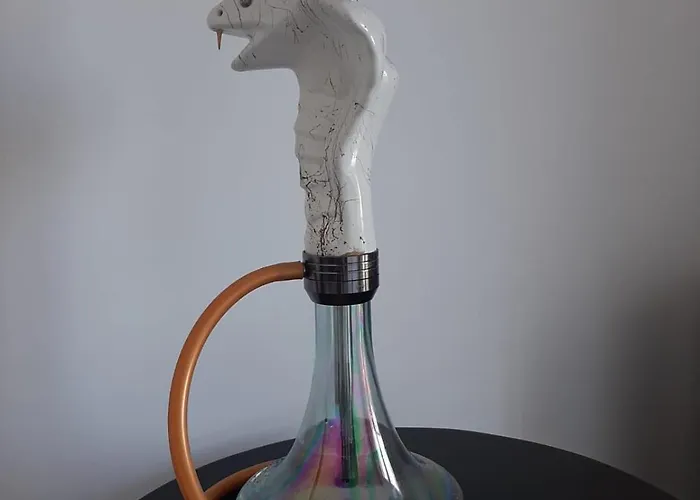 Vip Next Time Casa Vacanta *