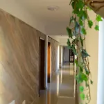Vip Next Time Casa Vacanta Holiday home Costinesti